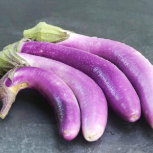 Four long, thin, purple 'Pingtung Long' eggplants nestled in a row.