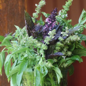 Basil and other herbs arranged in a vase