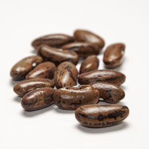 A cluster of long brown speckled 'Stub's Mammoth Scipio' beans